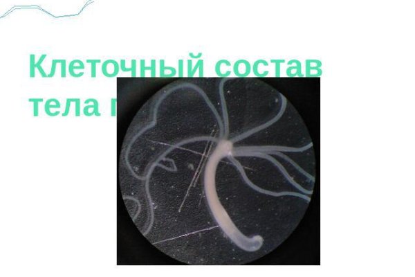 Кракен как попасть