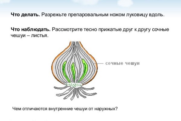 Кракен как войти