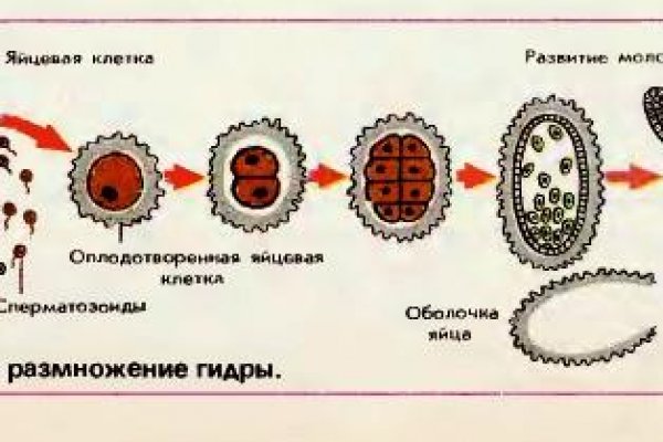 Кракен рабочая ссылка